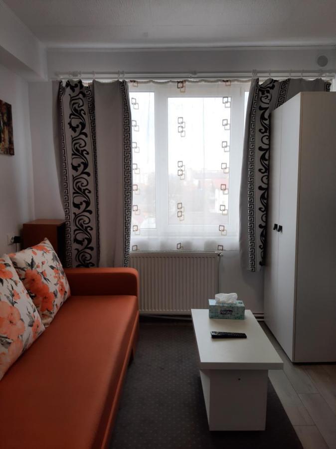 Arti Studio Daire Braşov Dış mekan fotoğraf
