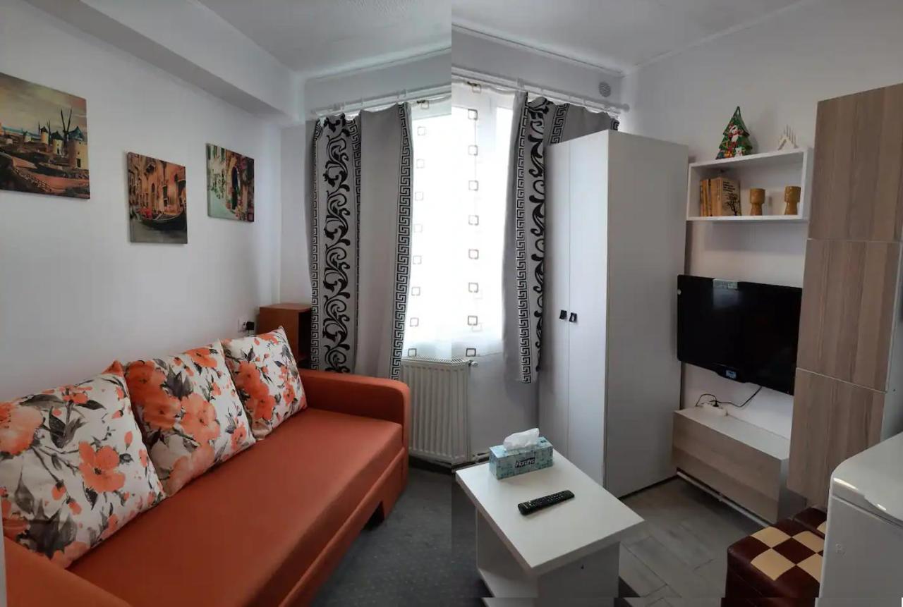 Arti Studio Daire Braşov Dış mekan fotoğraf
